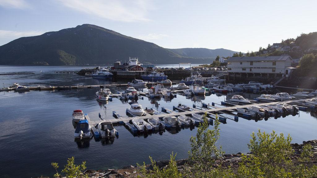 Stetind Hotel Kjopsvik Экстерьер фото